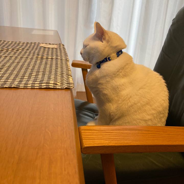 C29c5904 3d1b 4786 b657 6794587b1353 1675987577190