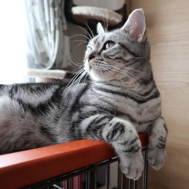 C29c607e 20c8 4664 b9b4 9d4fcc771be7 1574990225270