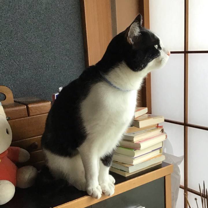 C29c9069 2521 4bf8 bb02 ea11a2146d9b 1715484331306