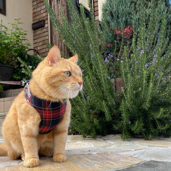 C29ca3cf 0d45 41ec 9f89 05a2f9bec59c 1667885569287