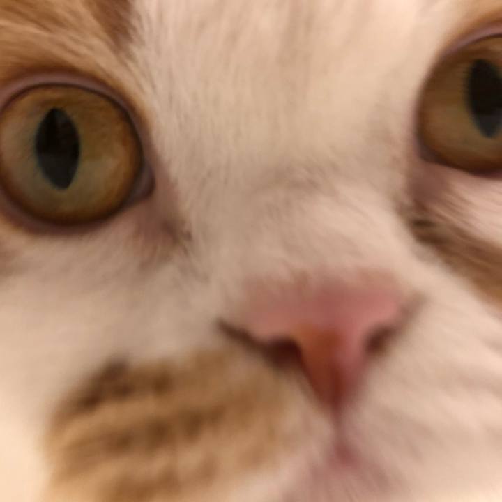 C29cc4bb c259 422b 93af 2662b8d9b157 1551452122046