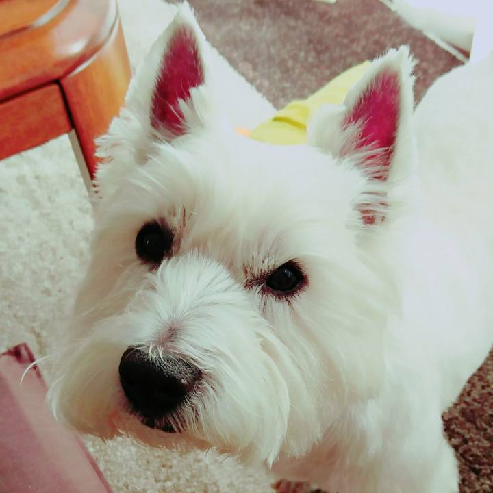 C29cf504 5b96 492d 9374 2f8b96c3d74e 1517064569047