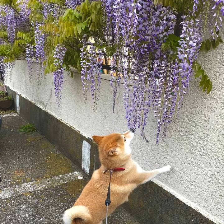 C29d2642 5609 438c 8c98 7abee8b88305 1587564521803