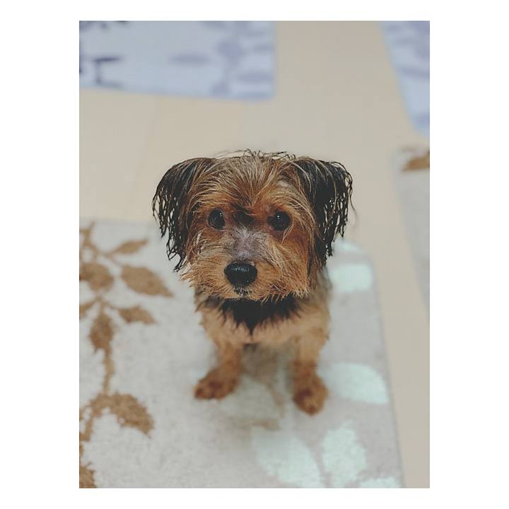 C29d5512 4de9 4b6b aff9 8a2a6569b2a3 1574574651096