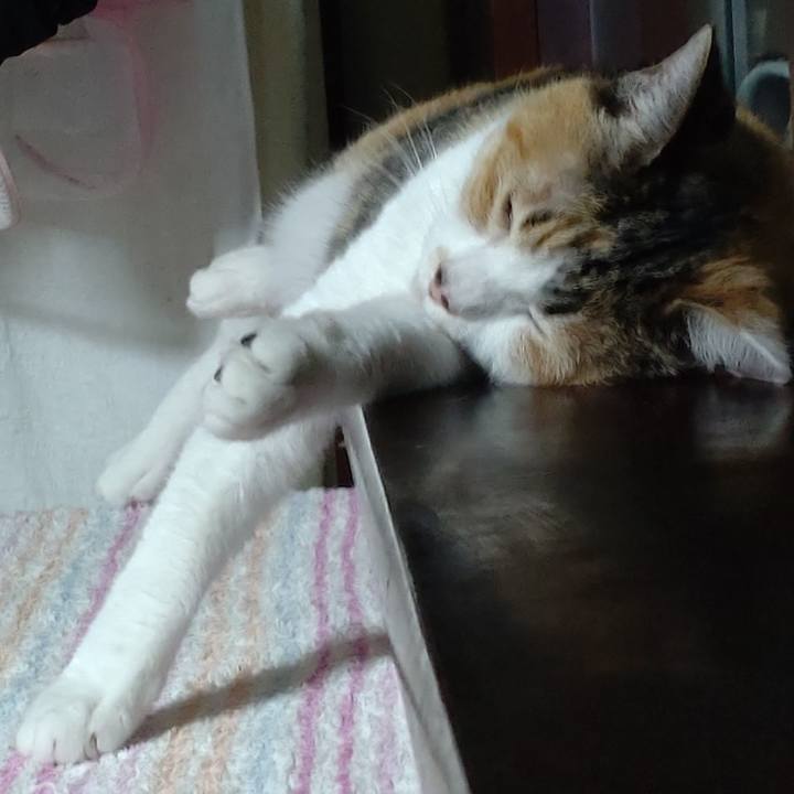 C29d5da5 7025 4377 bc2c 1148242a097f 1651484763512