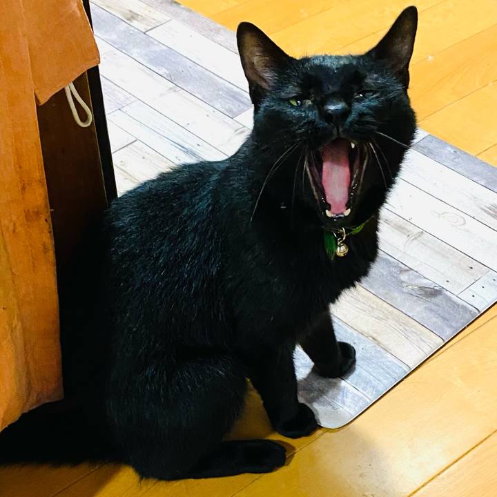 C29dc7b2 7aac 4f55 ad85 0fd5def15704 1694956615477