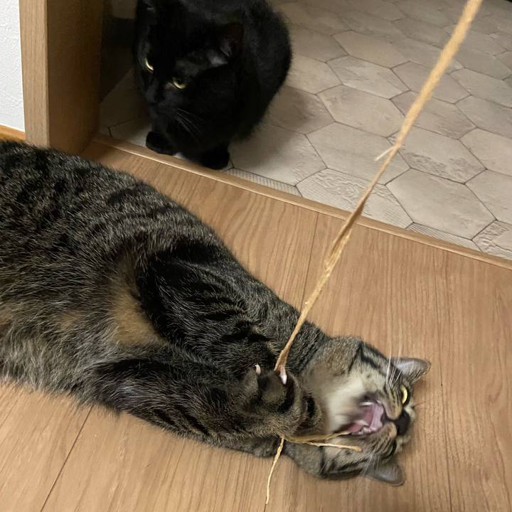 C29e0258 4526 4875 86c7 925fa33c672d 1648638833792