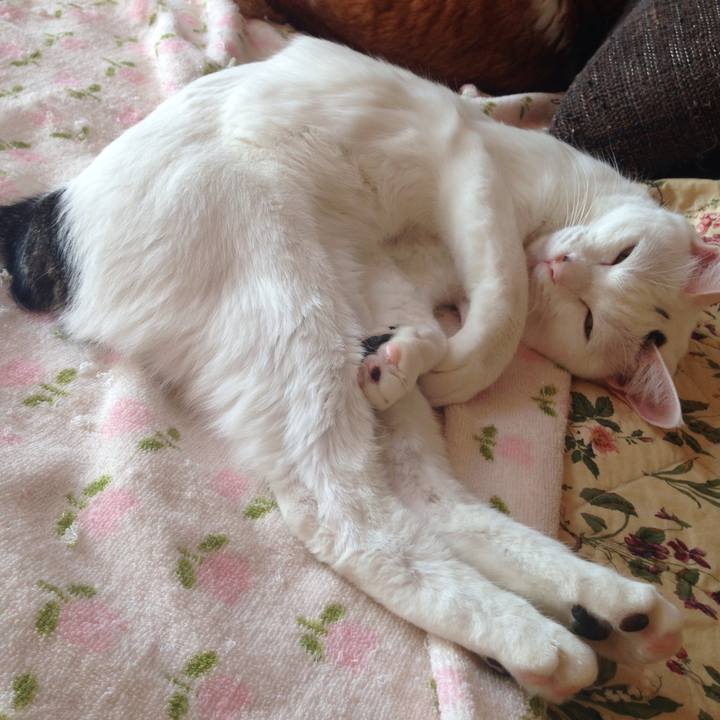 C29e0896 4675 4600 acbf 95c7c4dd34b1 1510623165417