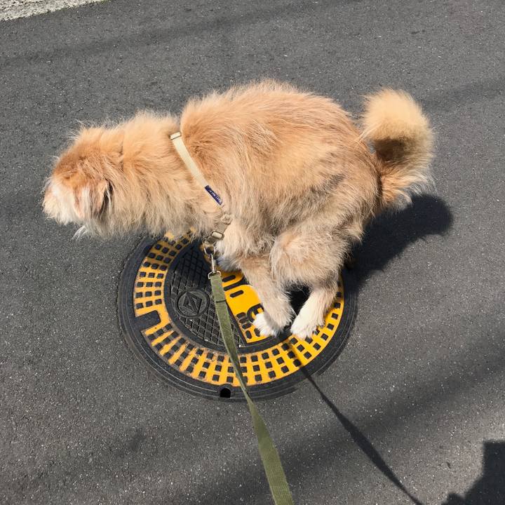 C29e380b e44b 408c 9289 d38f9b067481 1618208354865