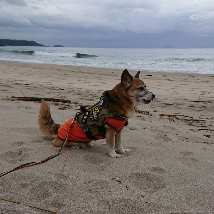 C29e40ce 2c54 4166 9102 4ec5e797ce7d 1559294802126