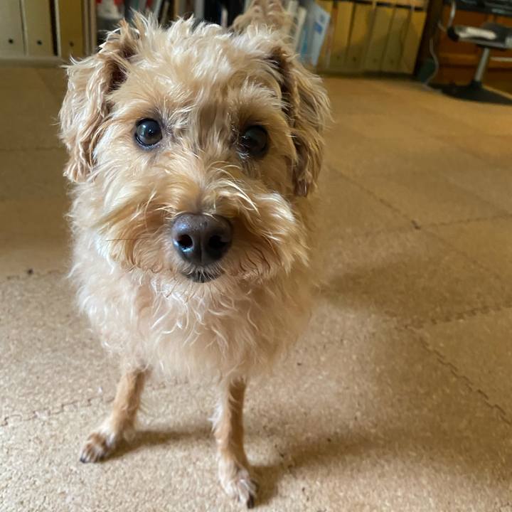 C29e4549 e013 4fef ab59 961163f045fa 1659741419627