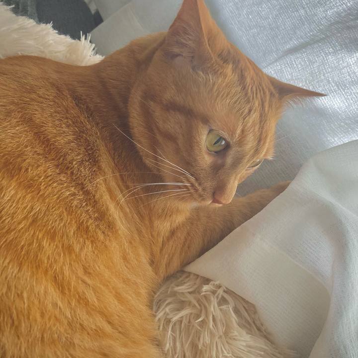 C29e76cc 377f 423b ae3c 758d97098152 1621138174622