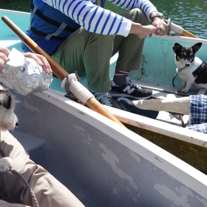 C29e82f7 c280 418a b6c1 e45f768278a2 1538969230080