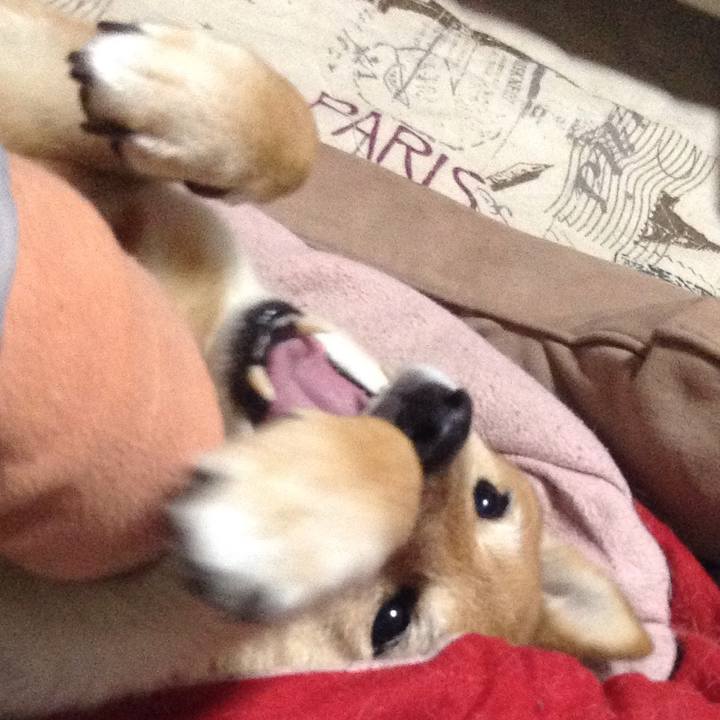 C29e8510 8ad1 433c b3b8 6a137028fb84 1516195878861