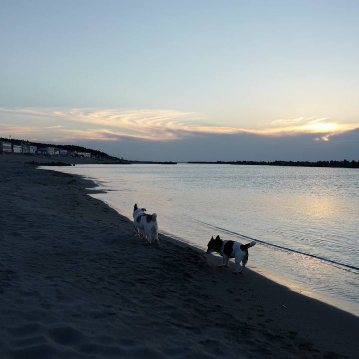 C29f3e15 ac12 40f9 9261 abf3cd7a8fb2 1540351897015