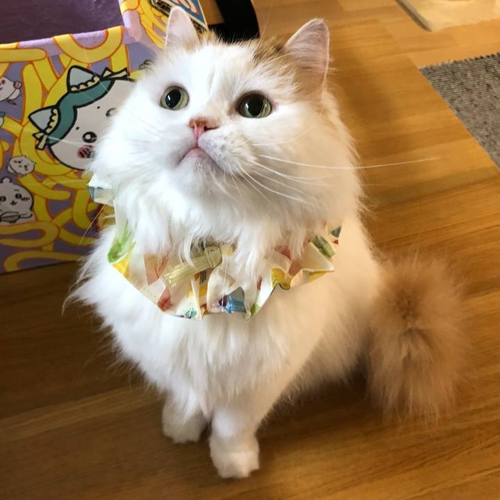 C29f614f 903b 4588 8d70 299f3115edcc 1769554111749