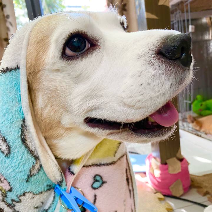 C29f65ff f769 4f59 8114 4a82ced5b1c4 1639538063400