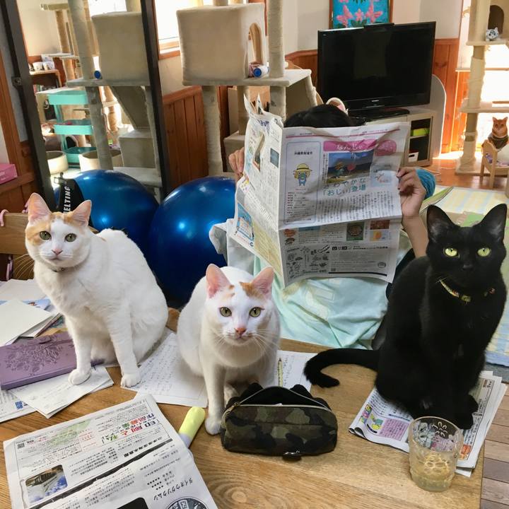 C29fd227 4ca5 4eaf 908f db621de6ed7d 1534569981719