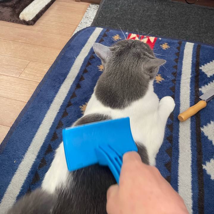 C29fdf6e 8f4e 4233 b503 a414e48a3008 1670122753682