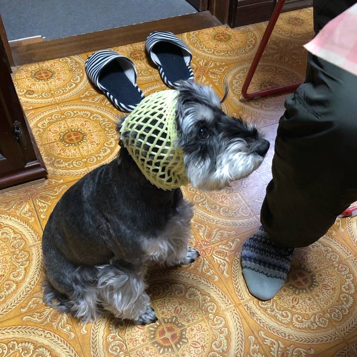 C29fffd4 277c 4f86 9721 eaa7ac9674d9 1673100049196