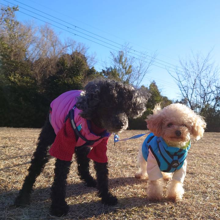 C2a0323d e696 4cbd b587 23605a088648 1769069378036