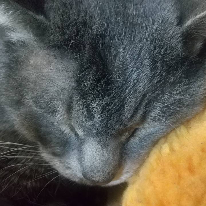 C2a037a0 bc70 461a 8e32 3484eae889d8 1677328773675