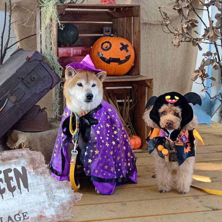 C2a05ec2 3d14 4523 80e4 53012b42a2c9 1635643140797