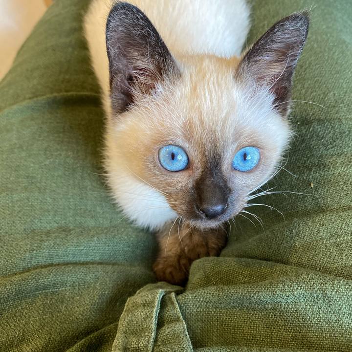 C2a06237 5111 49ae 929d 567ec1ebe81b 1687254886465