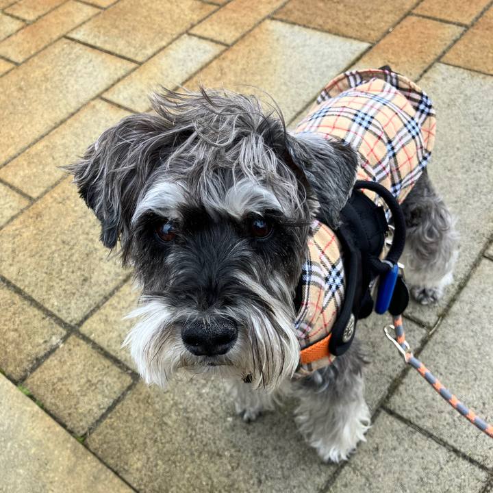 C2a08c3b 92fa 4586 bb39 fdc8a79b514e 1774706583849