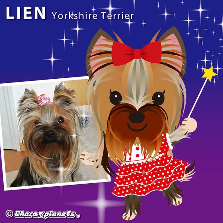 C2a0a98e 8af9 458a bbe8 907f6414efa5 1567645074883