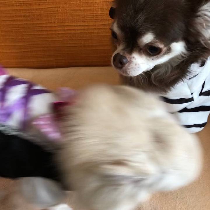 C2a0b9bc 8d16 420a 876c ed430ab55005 1571447359253