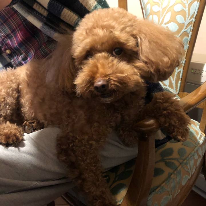 C2a0d785 2aa5 4c46 9c4b ed234b52d9d8 1542959064088