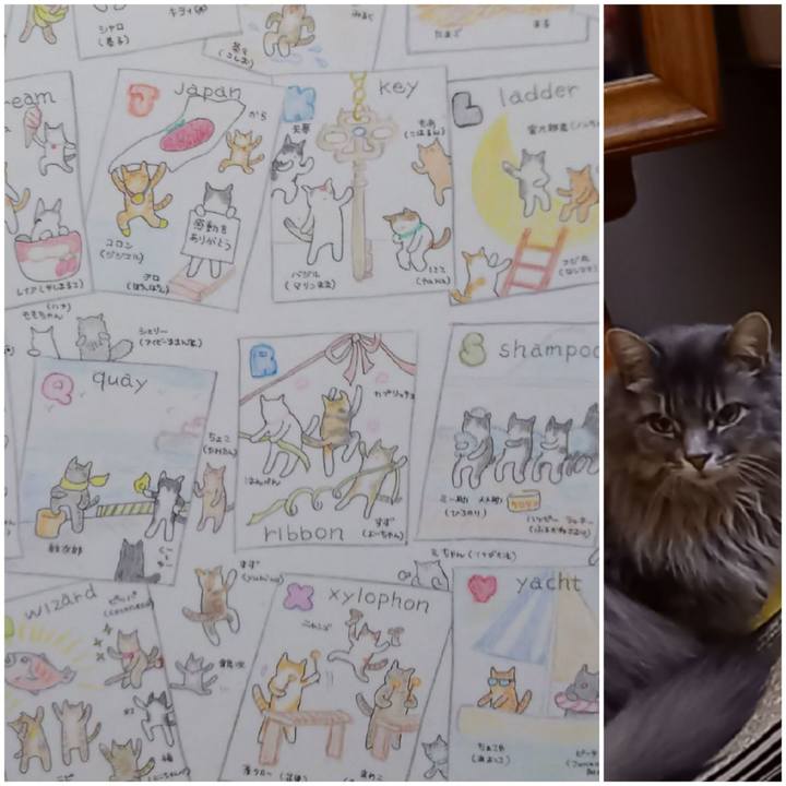 C2a106cd 31c7 4fef 9de4 4a0587879cb7 1645996294702