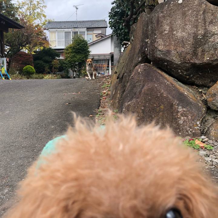 C2a10d15 dc53 4f66 b71d bb539e8724a8 1667561527490