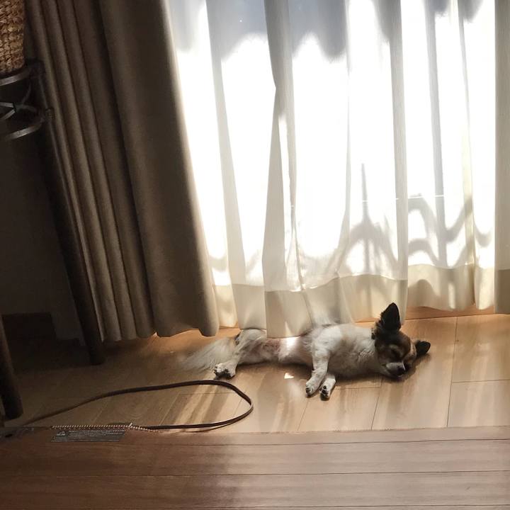 C2a11fd7 b5d7 4944 884c 6b12a9833917 1538106222990