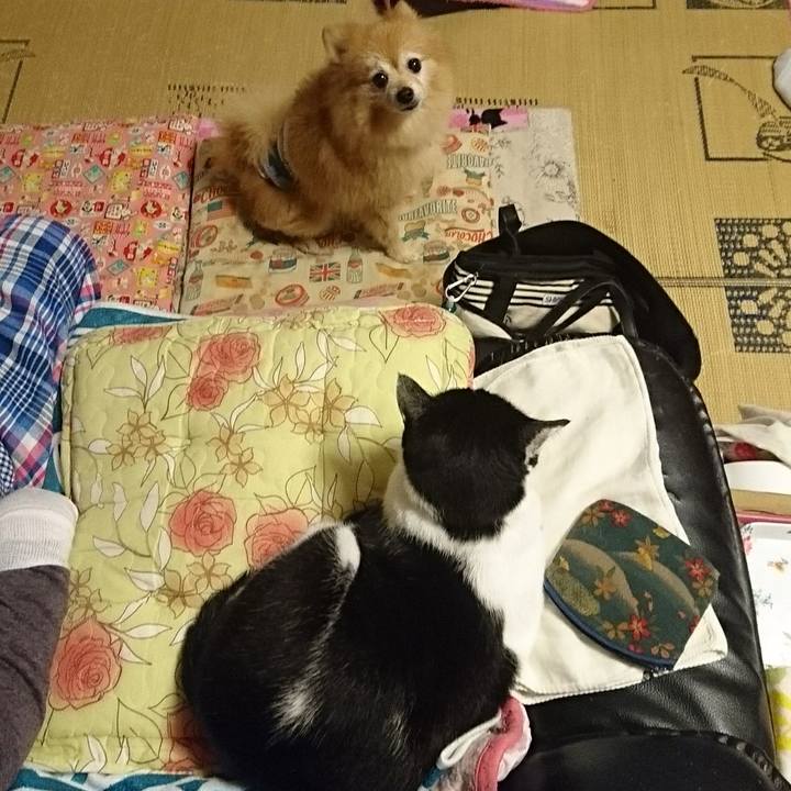 C2a128f0 9c34 4864 a093 28a3f08df64f 1508060422740