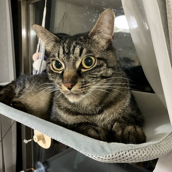 C2a157fe f7a5 43de bfde c4cbb06cbaba 1732660874742