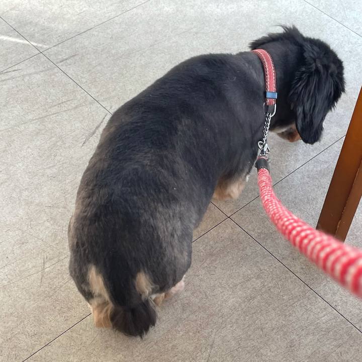 C2a172b4 c876 4e7f 91af c1f9321b20b4 1616742092000