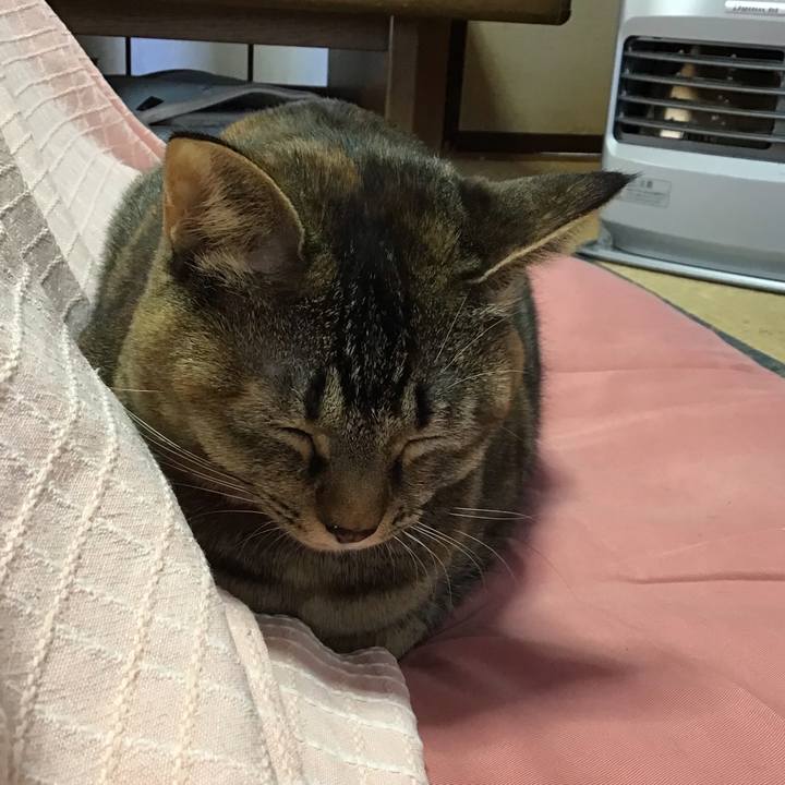 C2a18263 21e9 43b4 a53b ac44e3476934 1640657574681