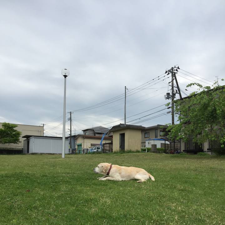 C2a19521 0bf3 4ca0 84d9 d67f5946dcca 1525238105947