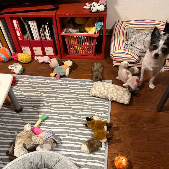 C2a1a59f f141 41f6 8118 e5ae079ab453 1760178874175