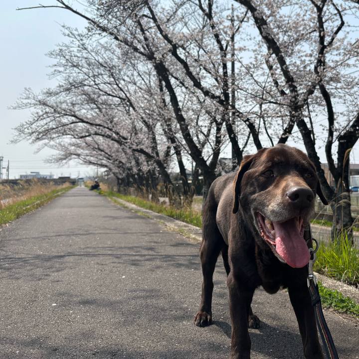 C2a1c389 f452 44be a7dc 8e333819b4ec 1774868099284