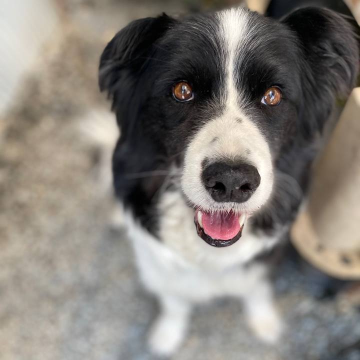 C2a202e1 6994 4fe3 b328 6614f2de9d9e 1591516908209