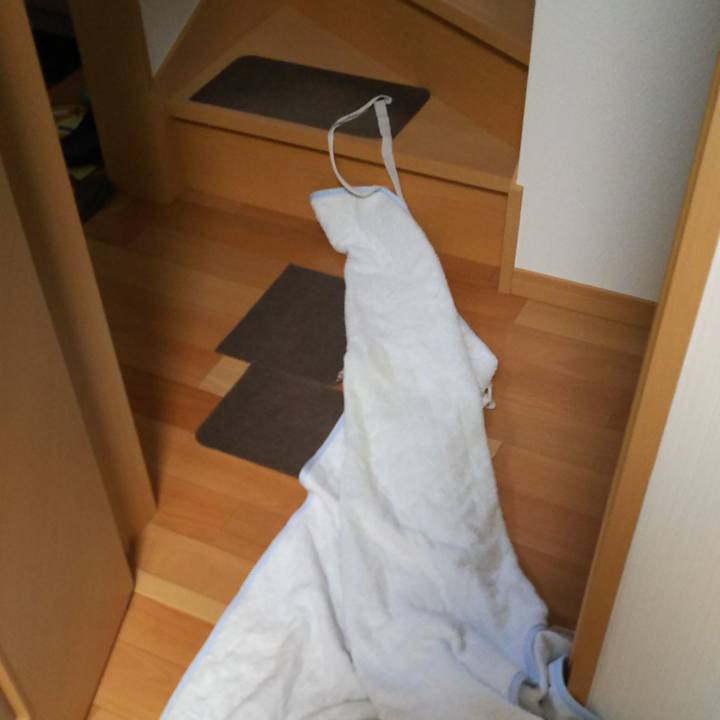 C2a229e2 6ee6 4b3d 824c 44f08076922b 1583125331519