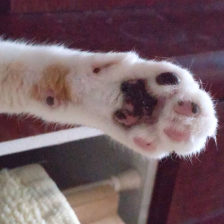 C2a25147 4ef2 453c b905 a11502ec18e6 1666495207134