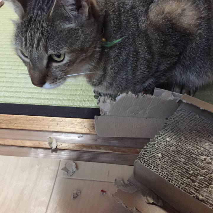 C2a25745 c6a3 4806 9675 7e70880e0f93 1537999614145