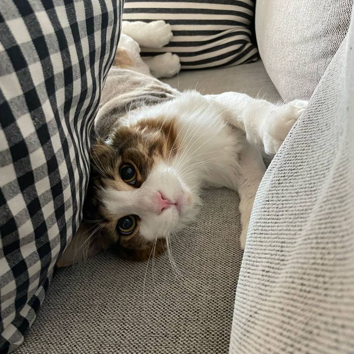 C2a2a06d 2446 4ab3 8d4e 4019ac227f7b 1658871303673