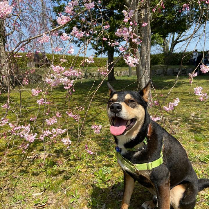 C2a30306 6a4a 4a98 8786 e792504ab172 1649235791875