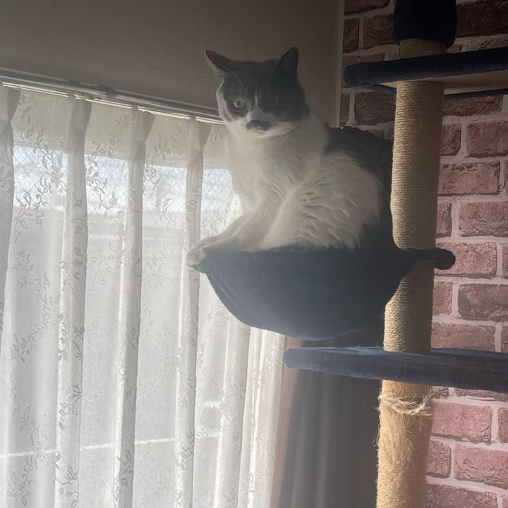 C2a318e3 f6f6 4d33 b746 371918f7347f 1668229895387