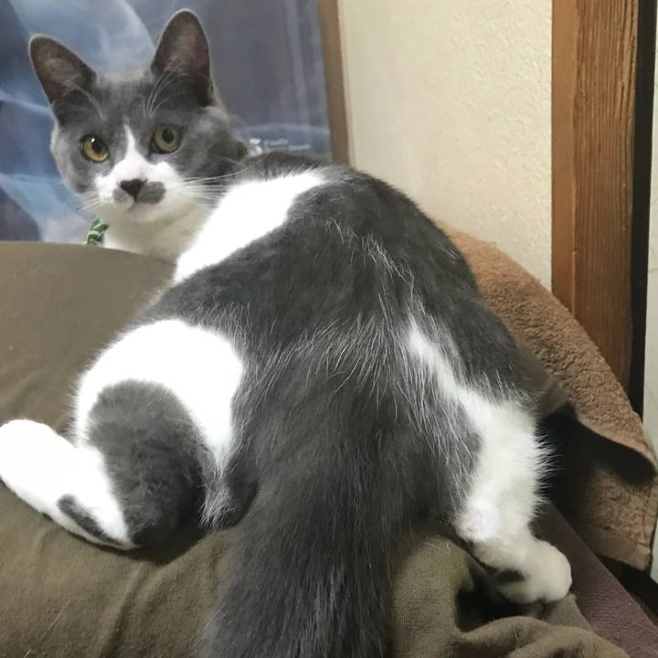 C2a328d5 c1c0 485e 8c8c 27c103690248 1625306131288